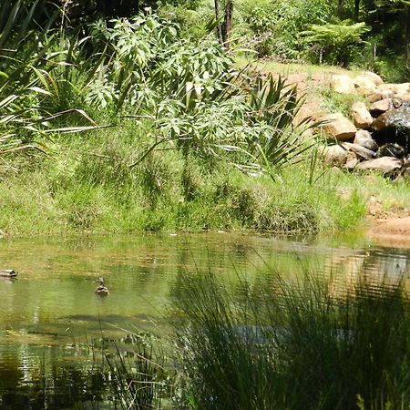Puketotara Lodge Kerikeri Εξωτερικό φωτογραφία