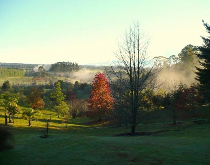 Puketotara Lodge Kerikeri Εξωτερικό φωτογραφία