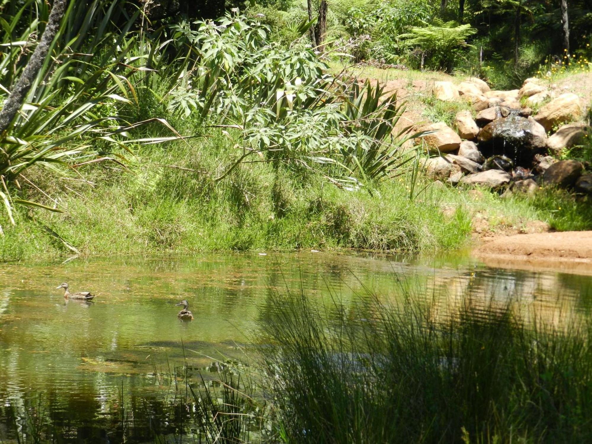 Puketotara Lodge Kerikeri Εξωτερικό φωτογραφία