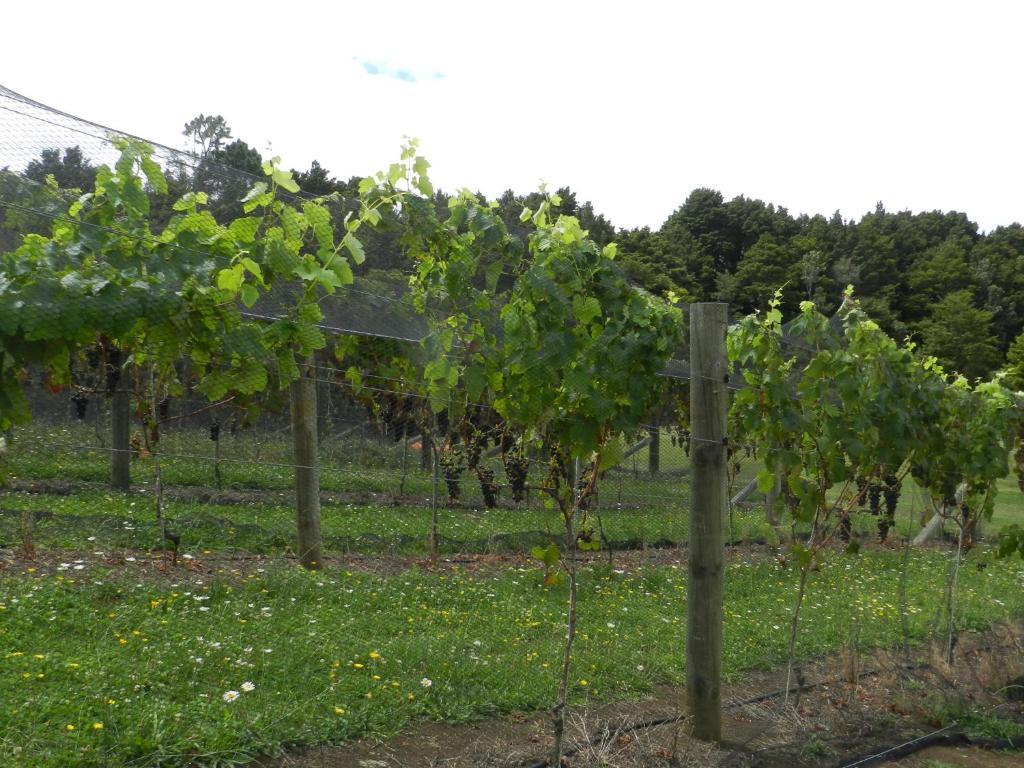 Puketotara Lodge Kerikeri Εξωτερικό φωτογραφία